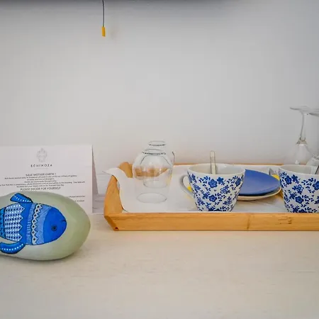 Gæstehus Schinoza Luxury Schoinoussa