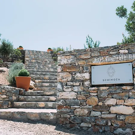 Guest house Schinoza Luxury