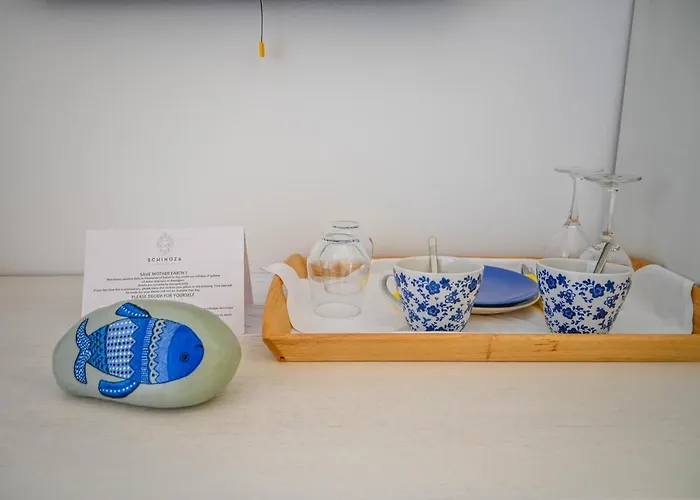 게스트하우스 Schinoza Luxury Schoinoussa