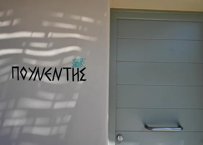 게스트하우스 Schinoza Luxury Schoinoussa